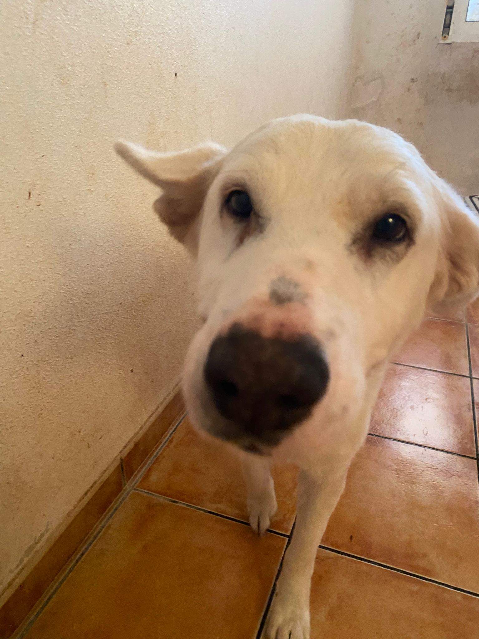 eira_1188616100145343