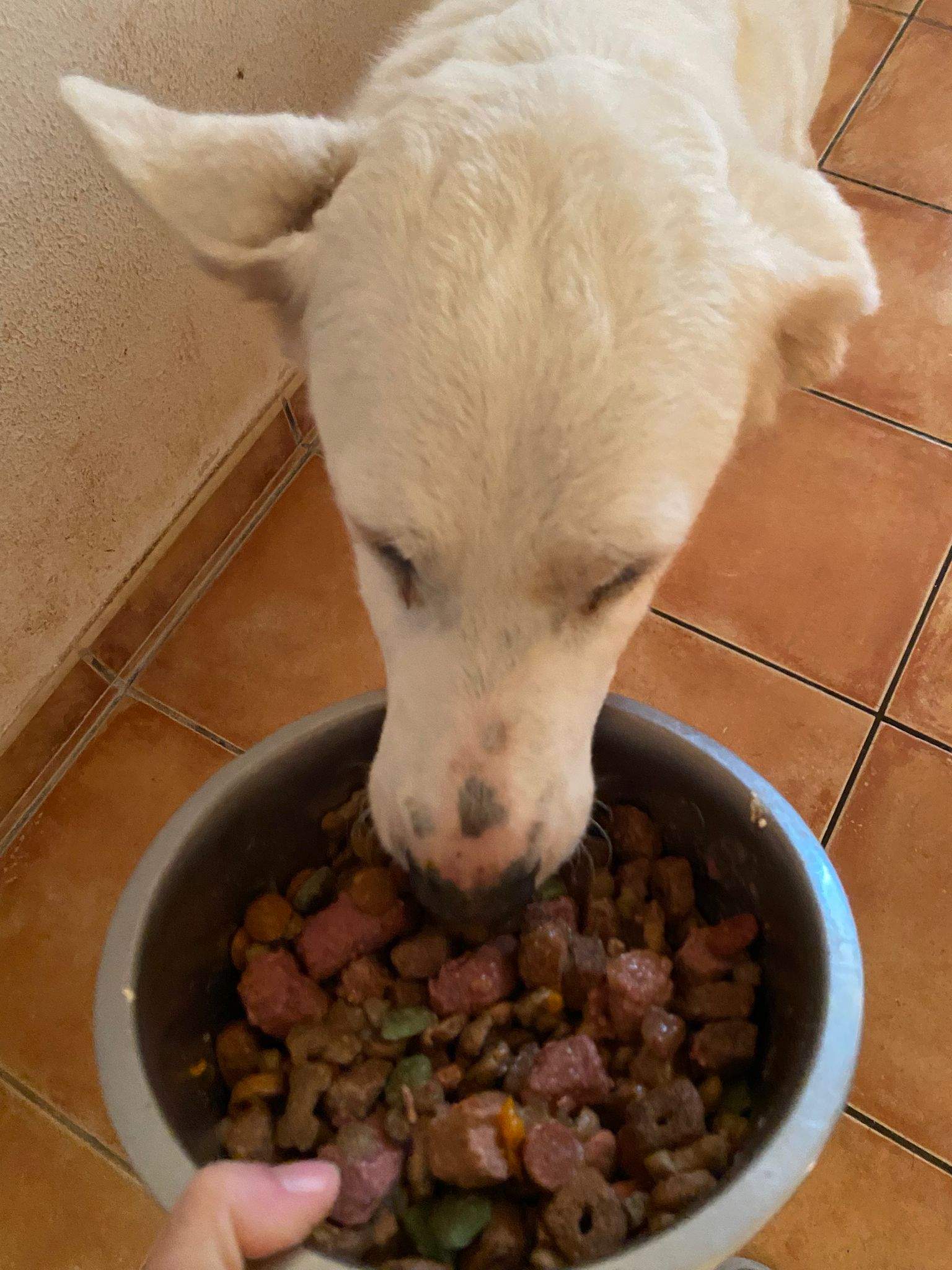 eira_1188616150145338