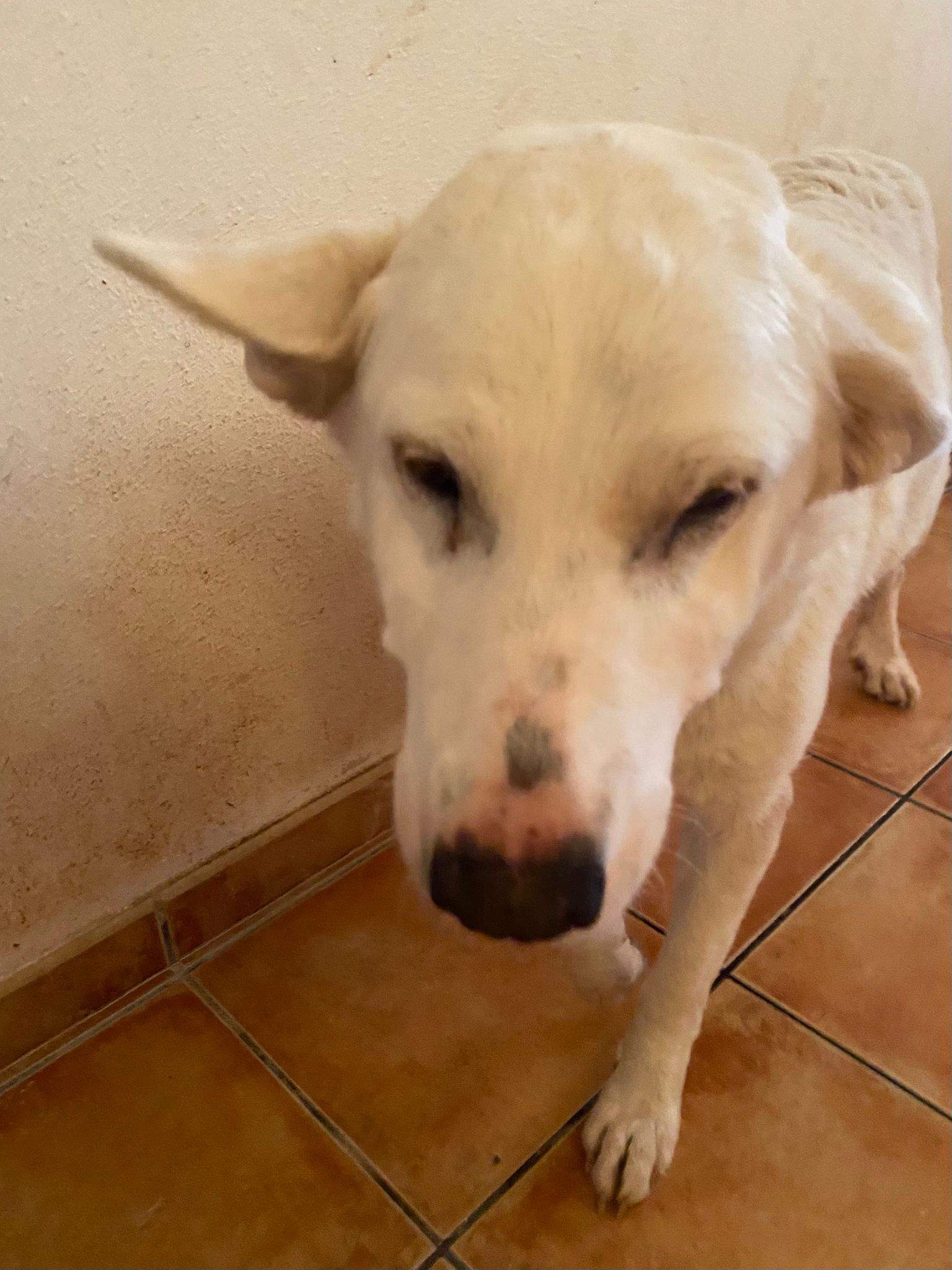 eira_1188616180145335