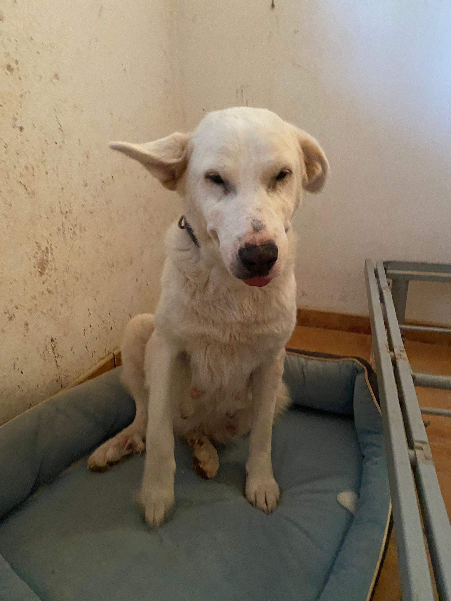 eira_1188616210145332