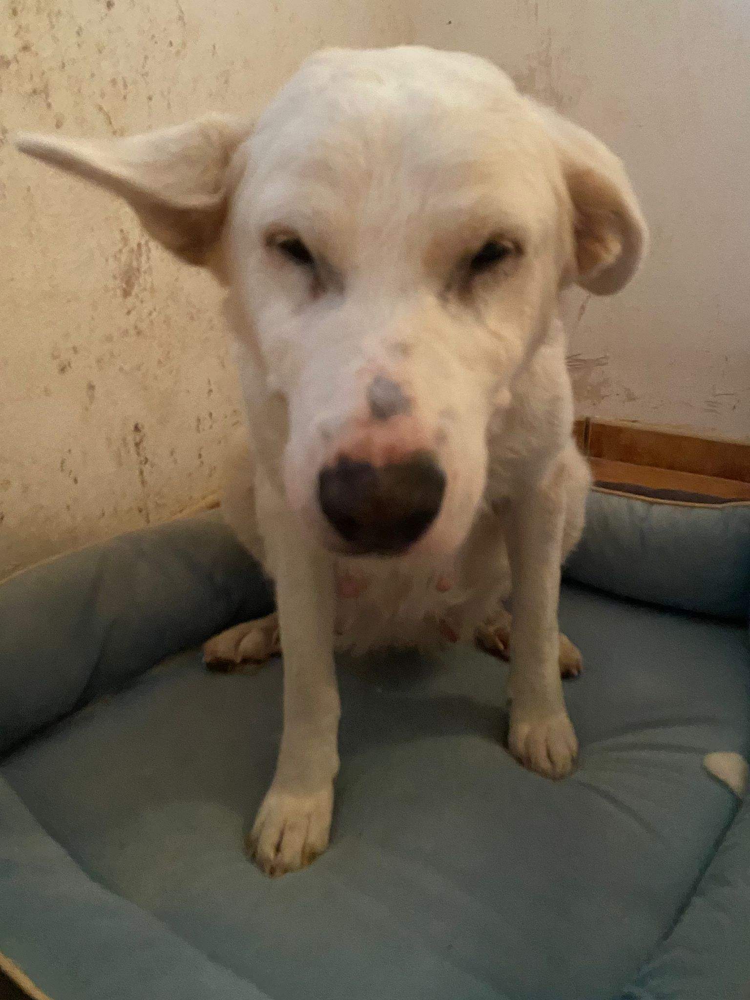 eira_1188616250145328