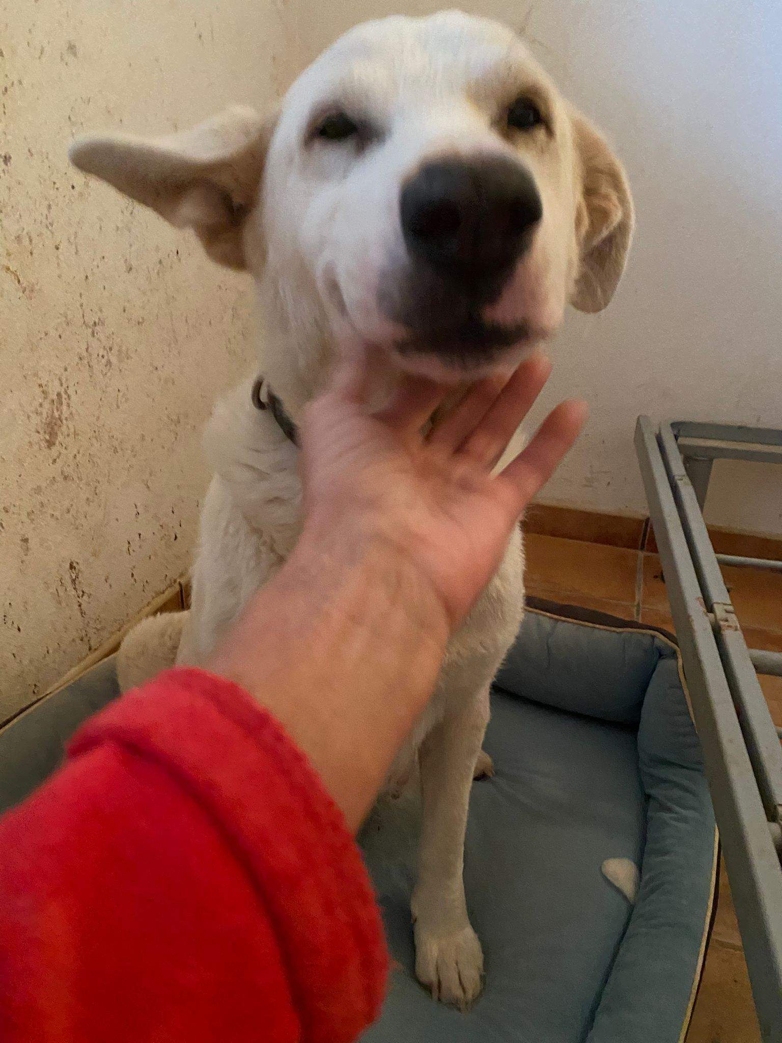 eira_1188616286811991