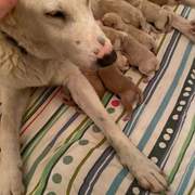 eira_1197236055950014