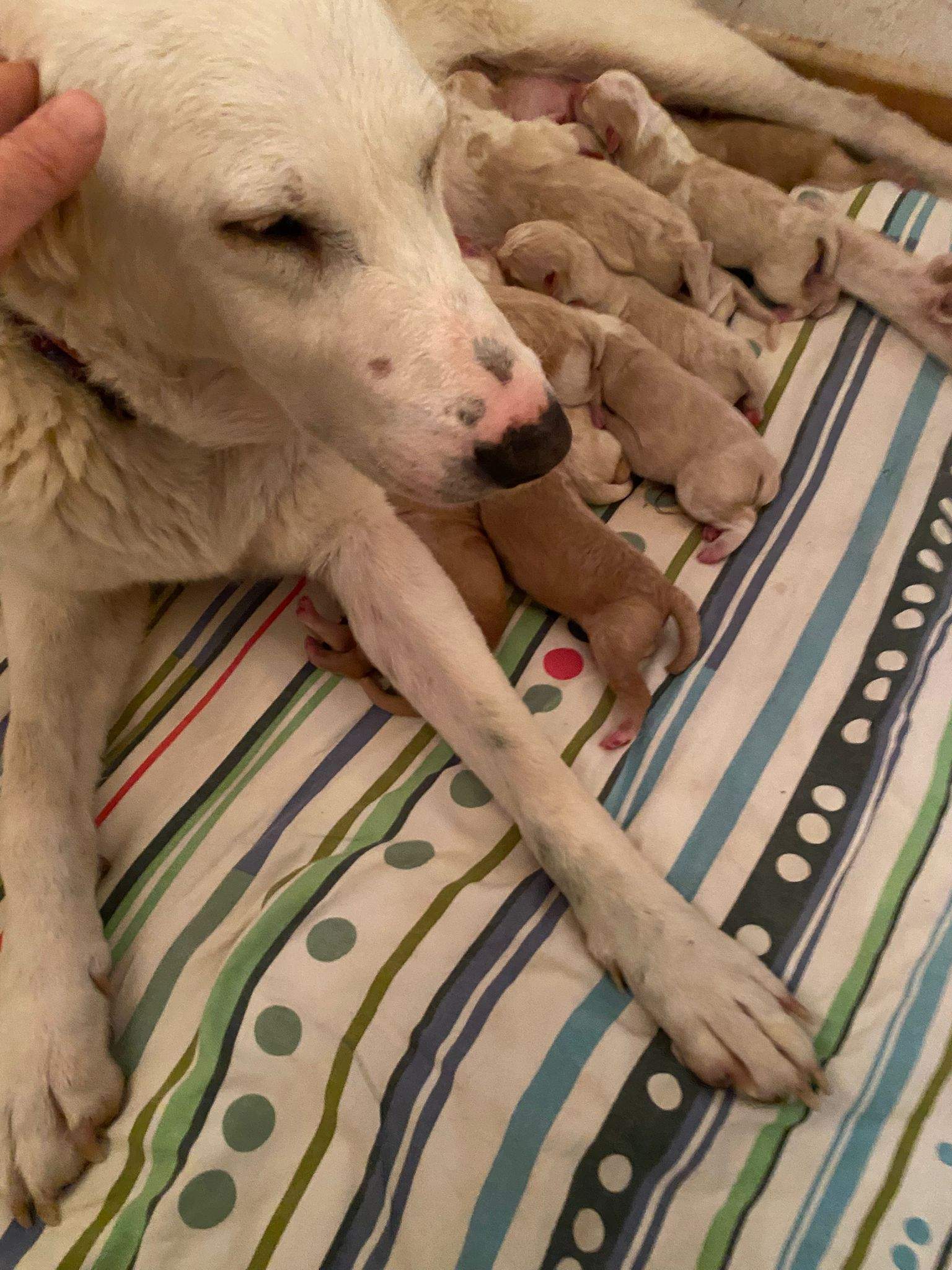 eira_1197236055950014