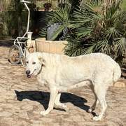 eira_1435102772163340