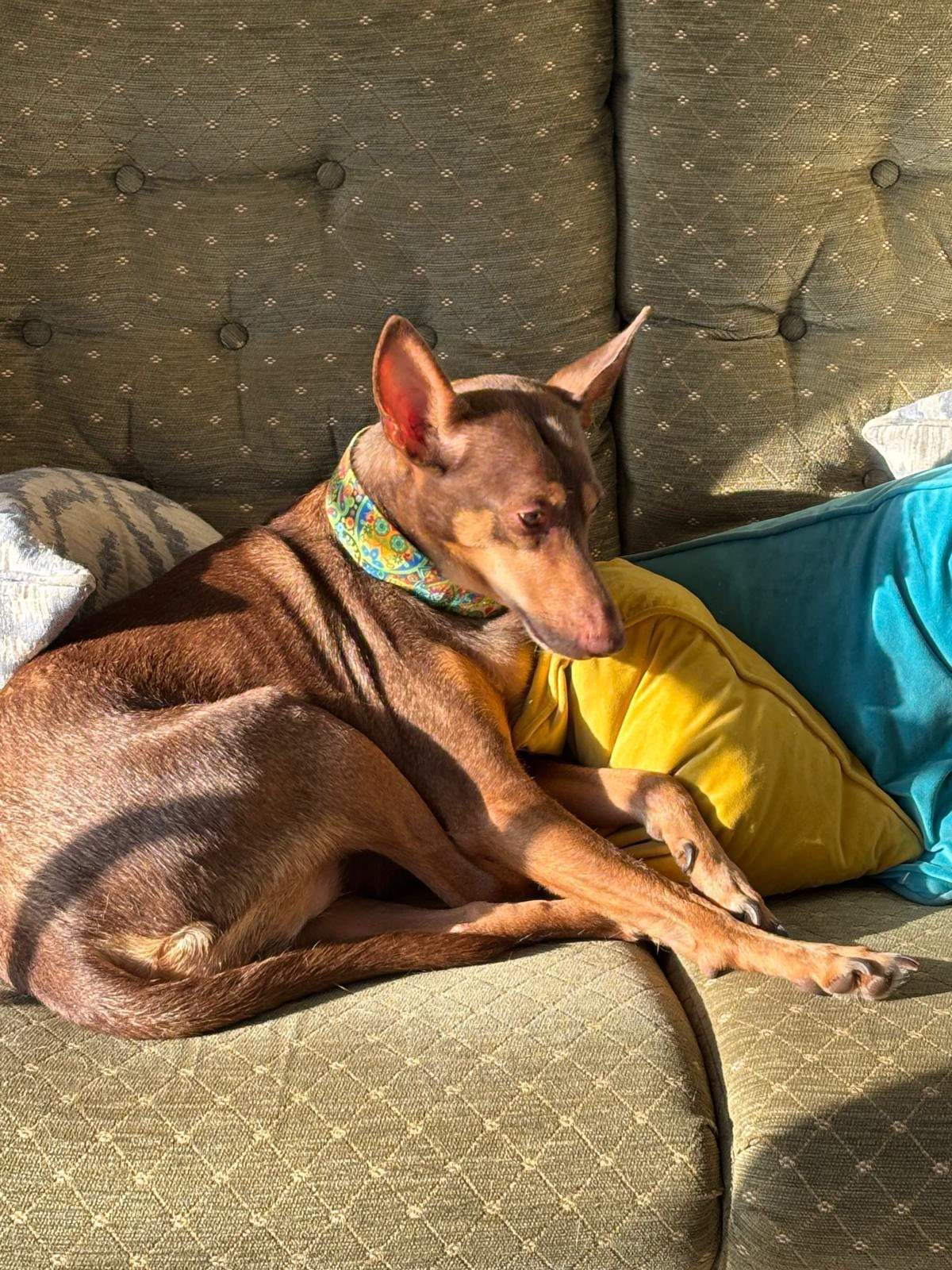 enki_1249774914029461