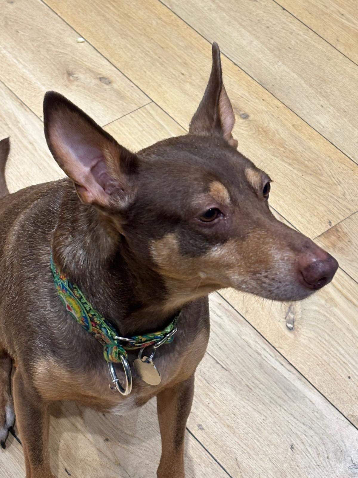 enki_1249774960696123