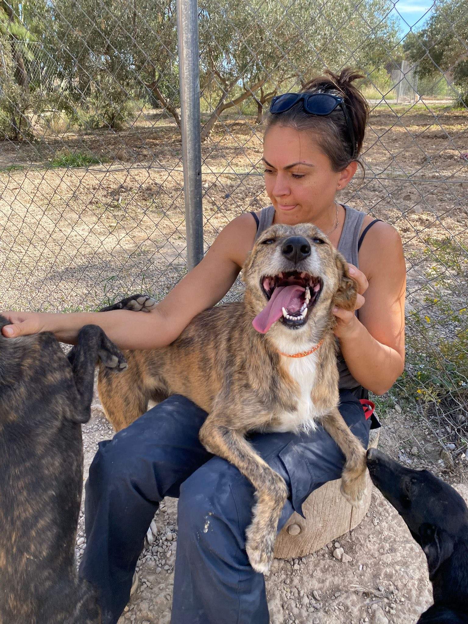 estrella_1138085925198361