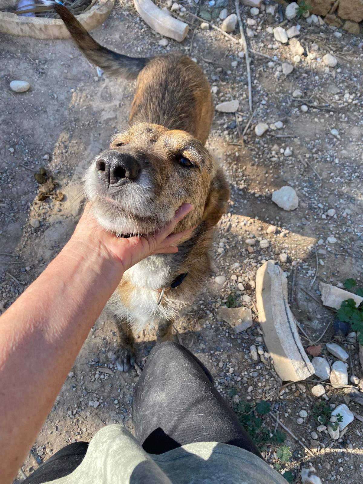 estrella_1229792866027666