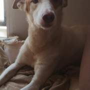 ezra_1061589086181379