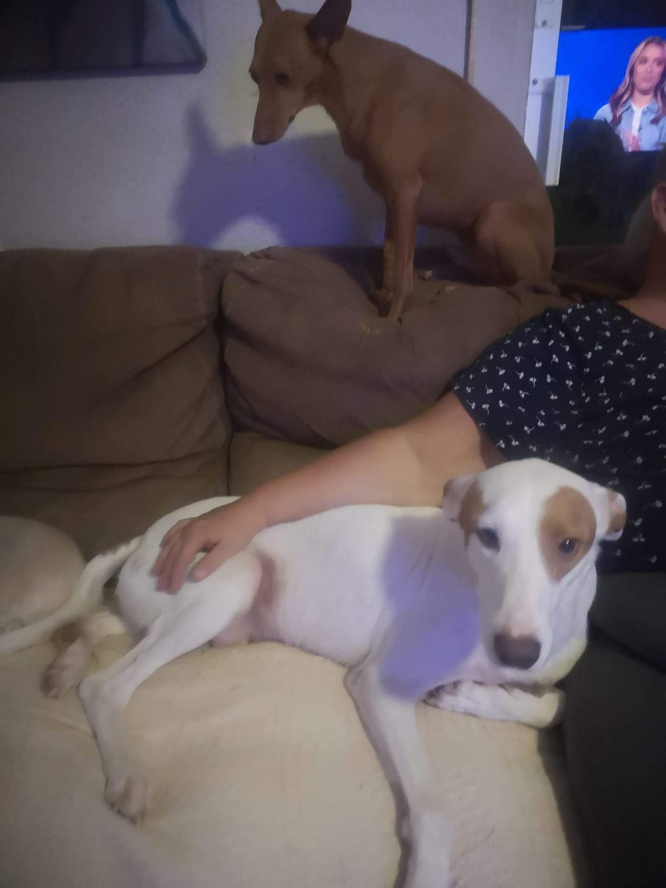 ezra_1148382047502082