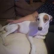 ezra_1148382084168745