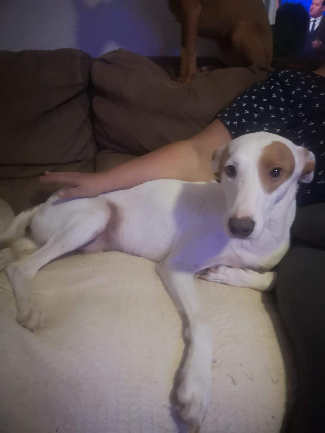 ezra_1148382084168745