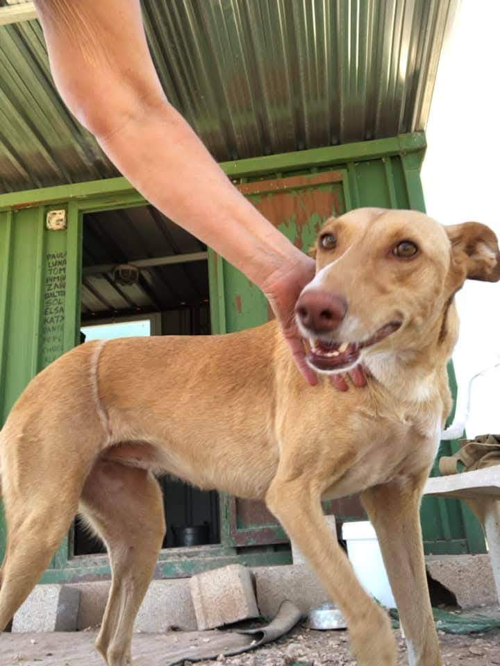 fina_1206886764984943