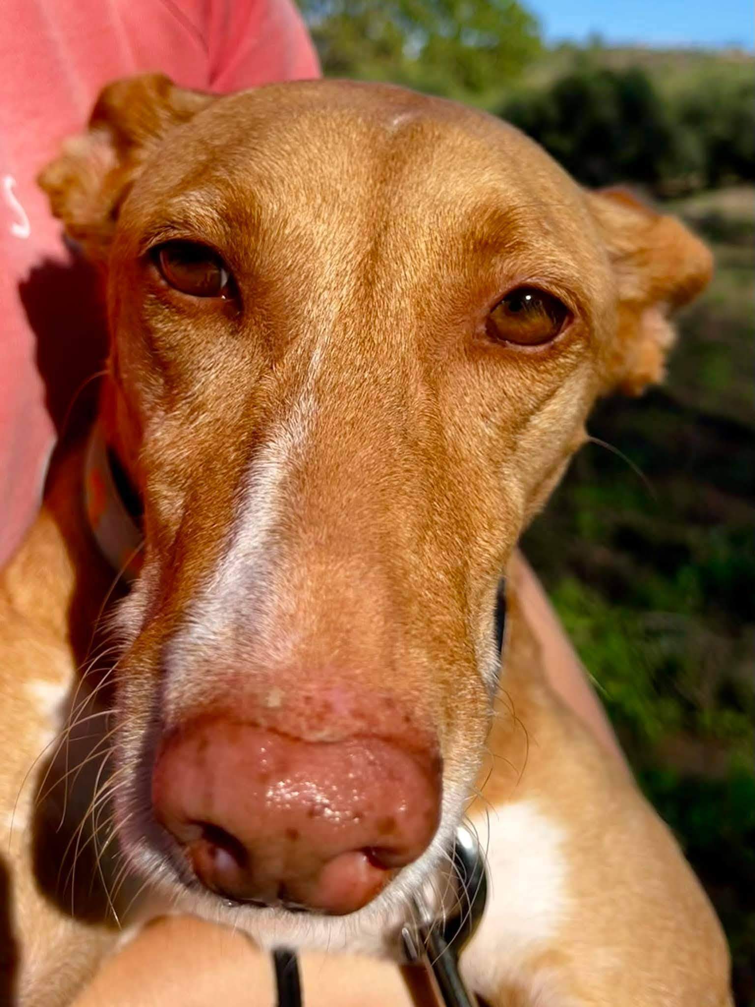 fina_1206886814984938