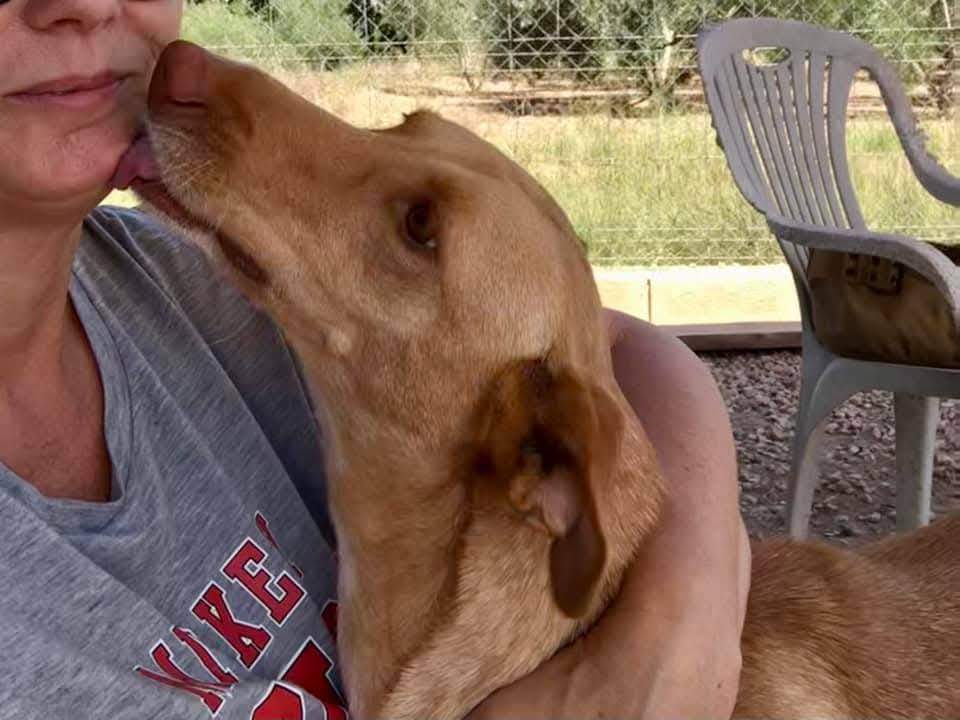 fina_1206886844984935