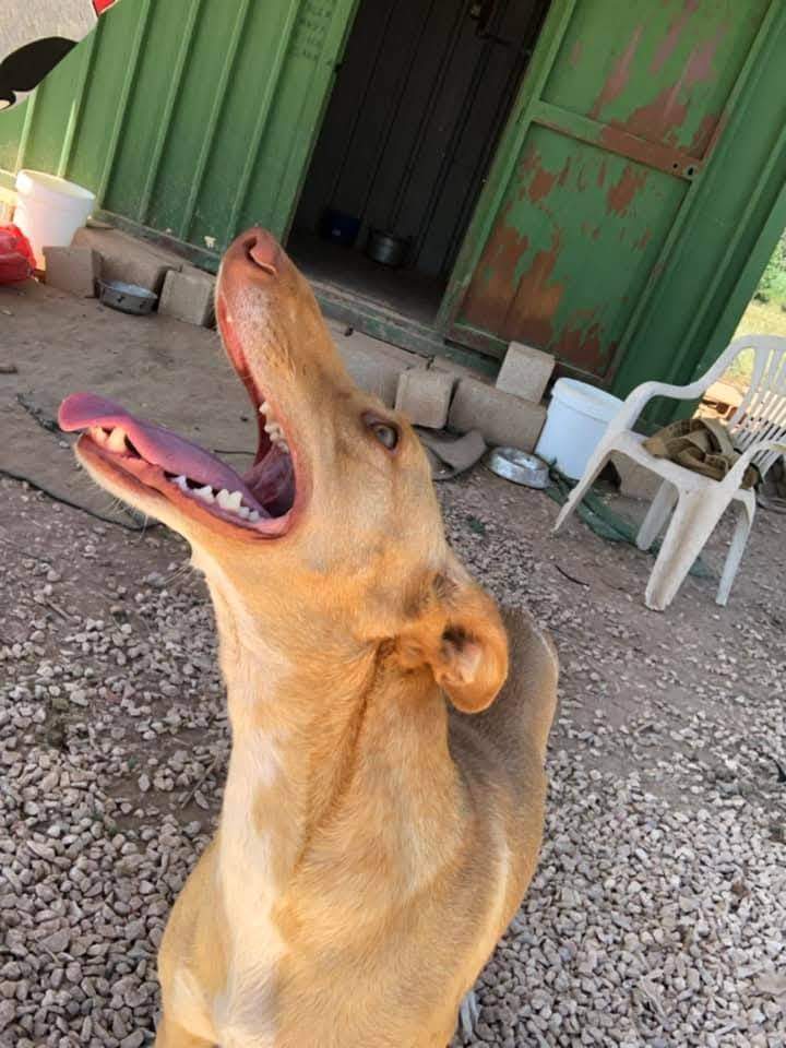 fina_1206886898318263