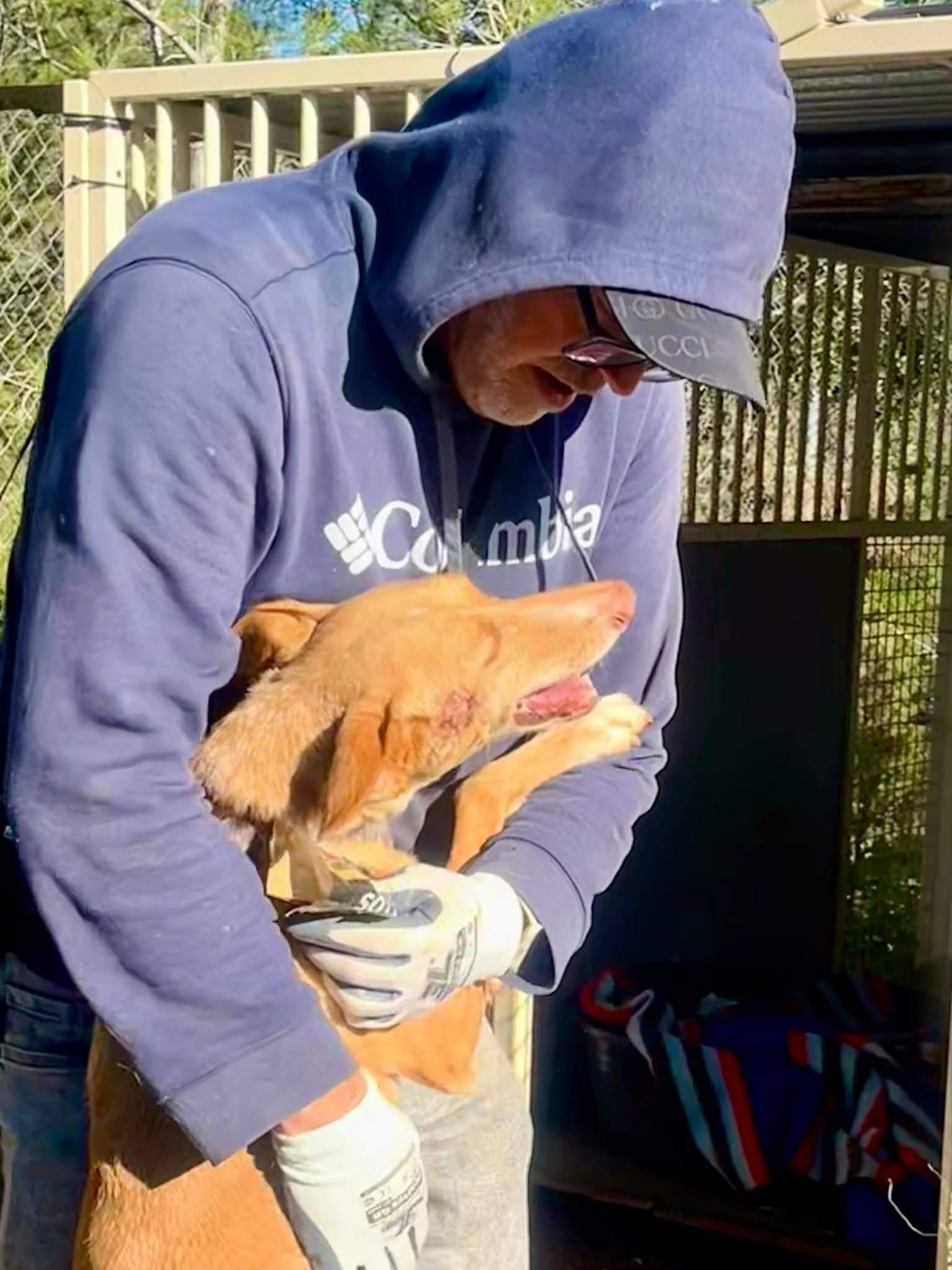 fina_1206887048318248