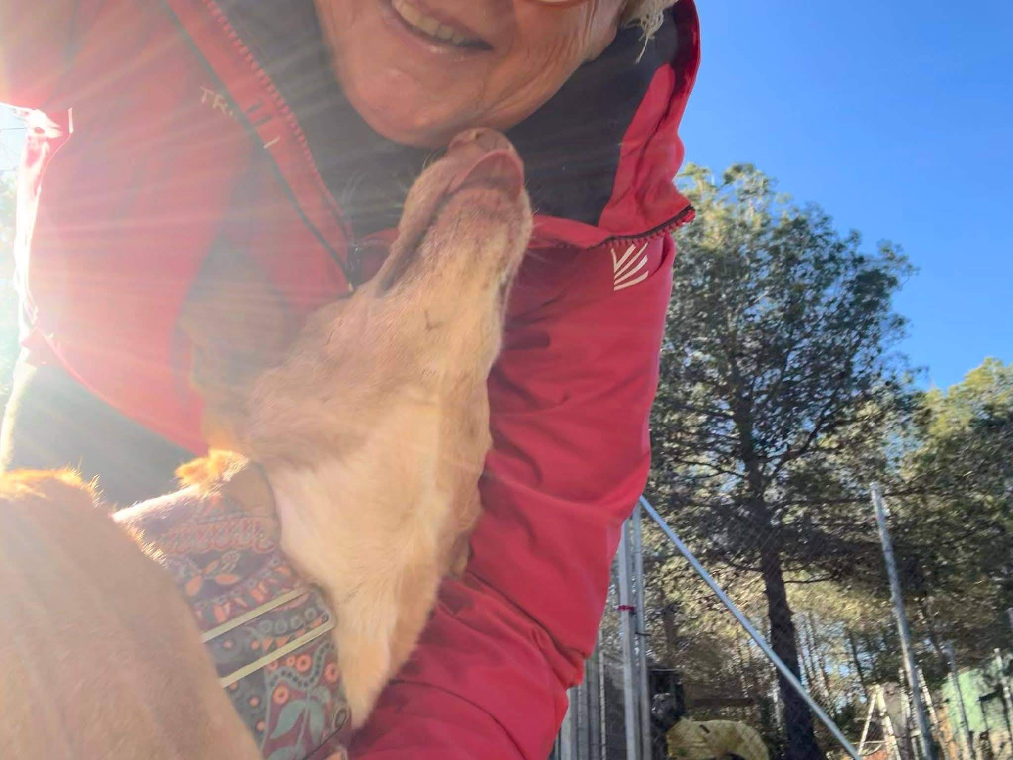 fina_1206887168318236