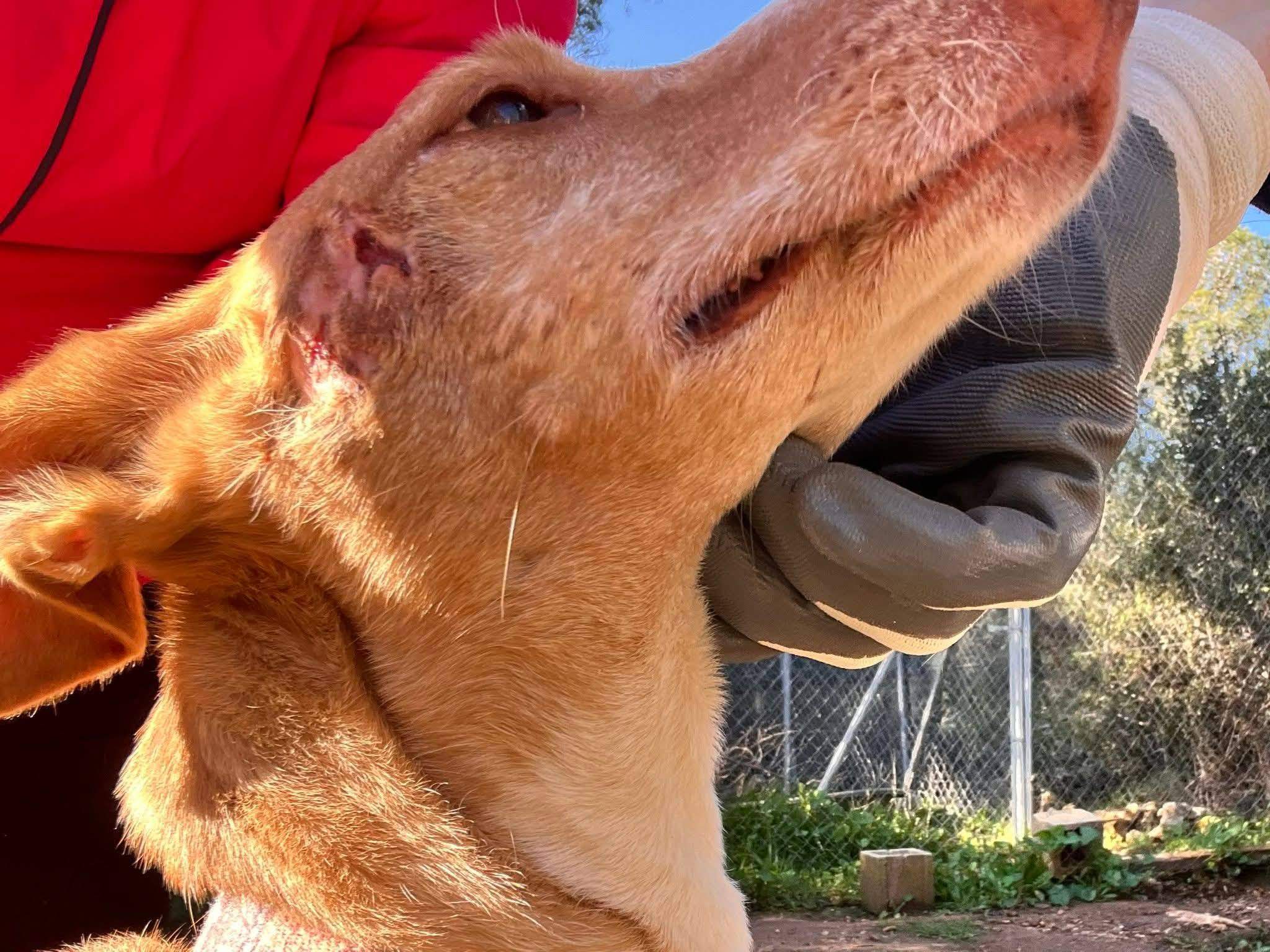 fina_1206887221651564