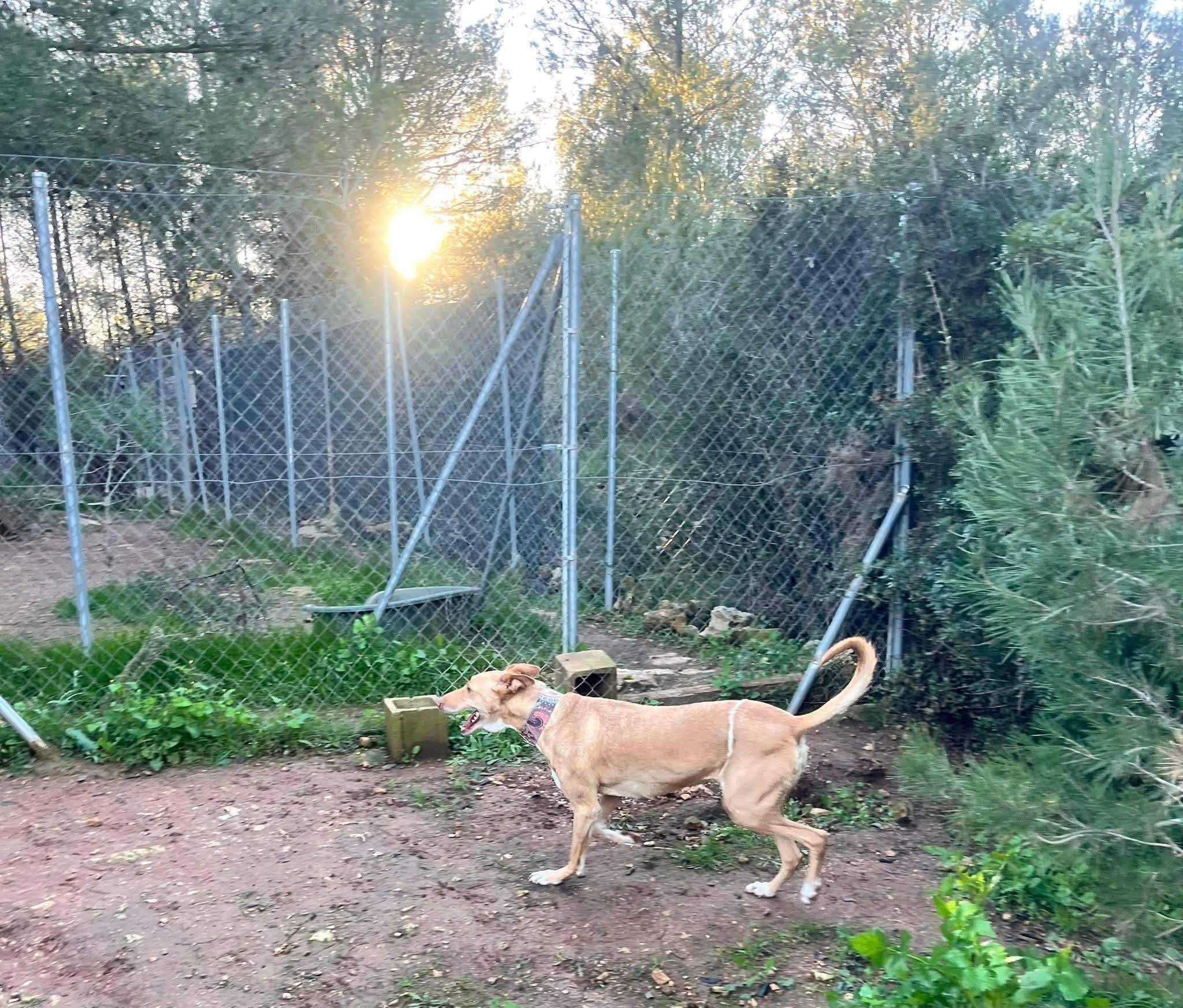 fina_1206887271651559