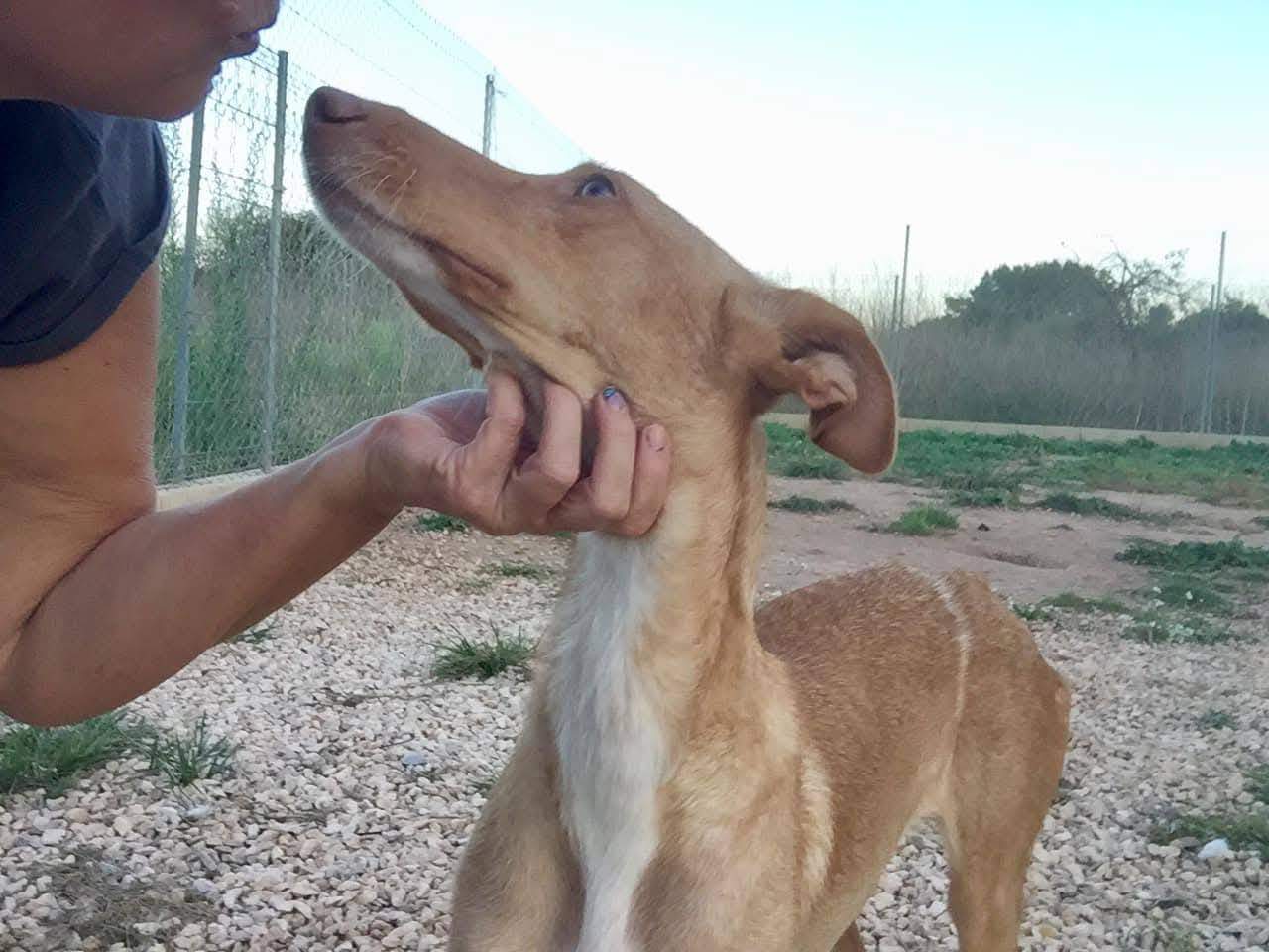 fina_1206887344984885