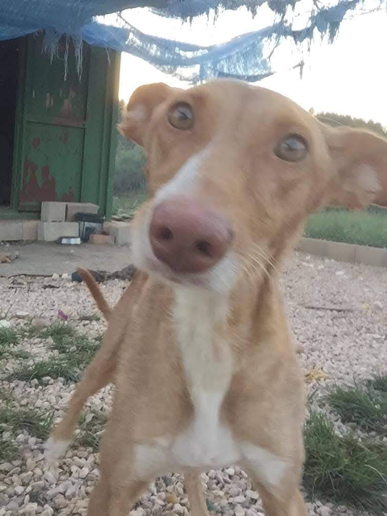 fina_1206887558318197