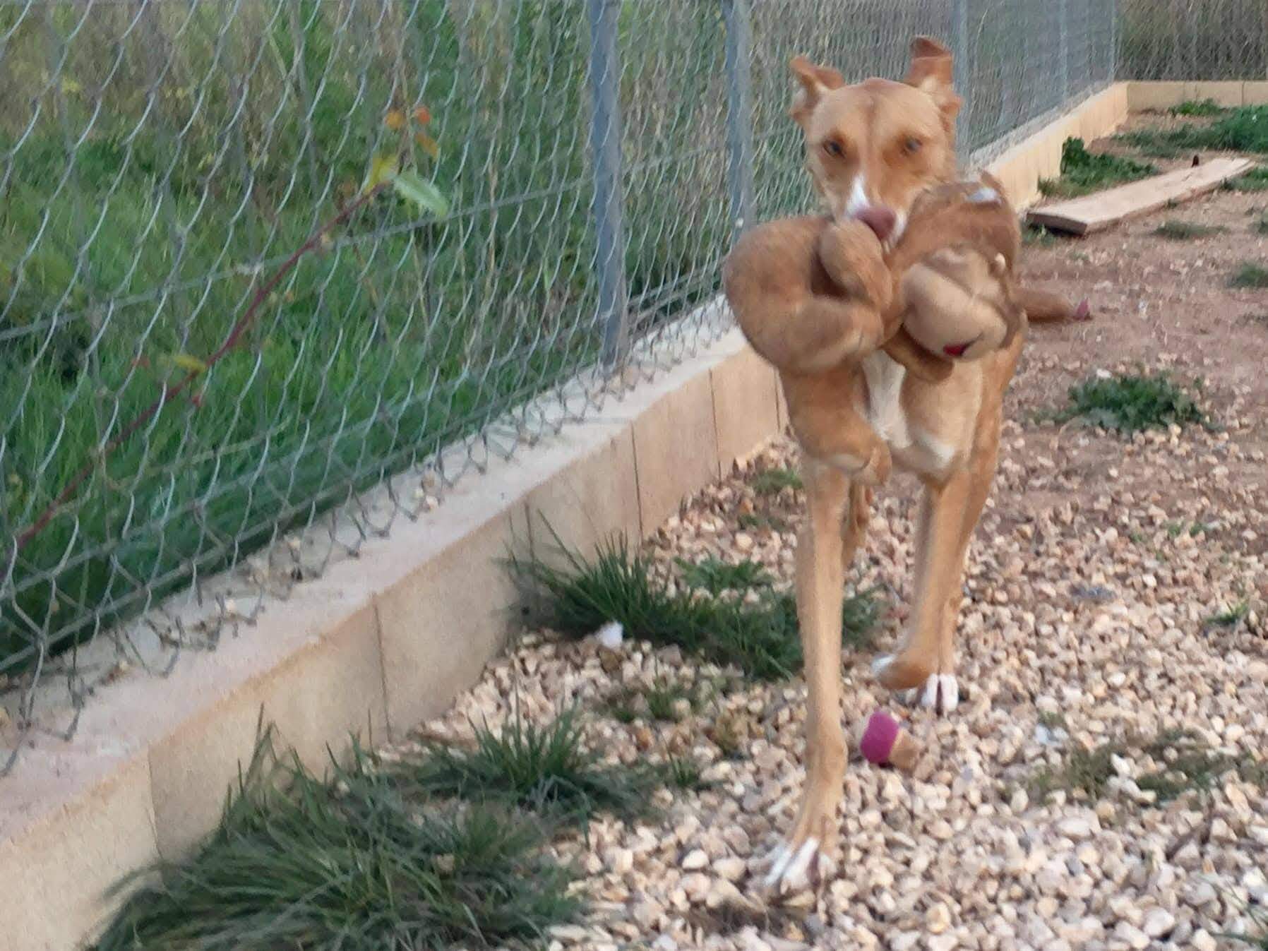 fina_1206887648318188