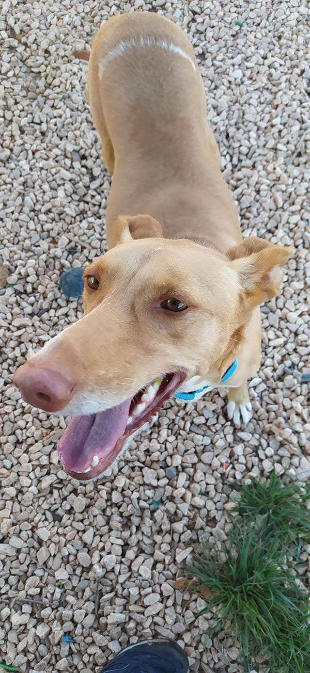 fina_1206887714984848