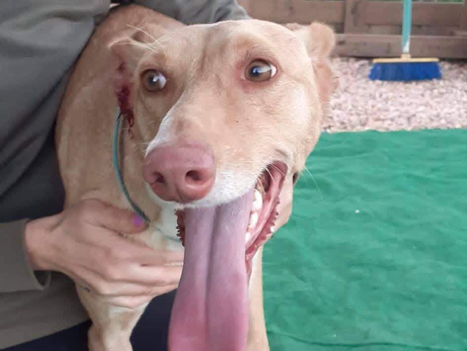 fina_1206887771651509