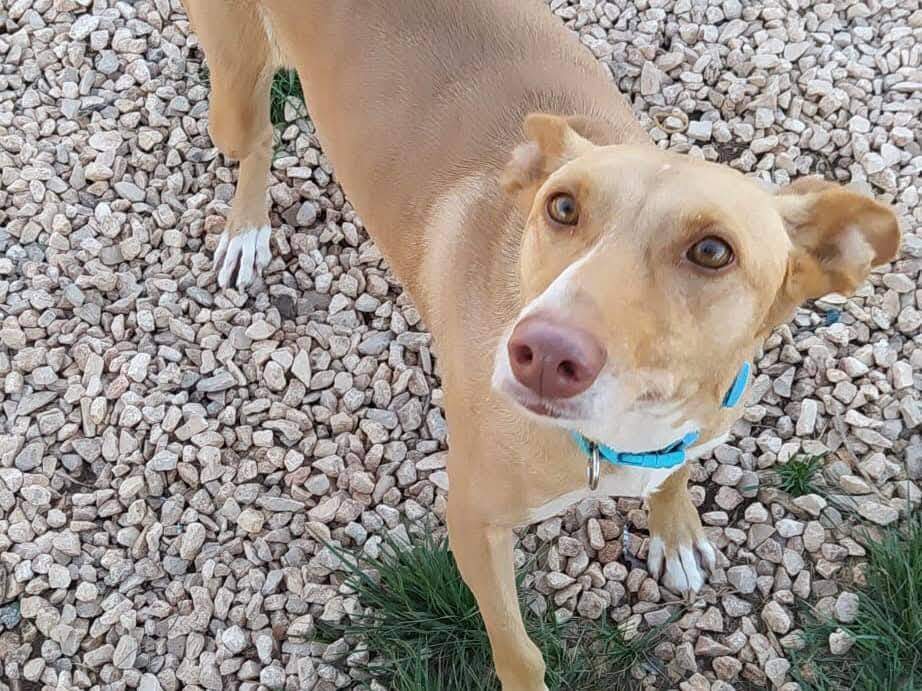 fina_1206887814984838