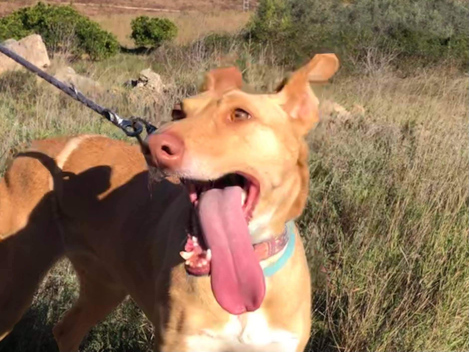 fina_1206887888318164