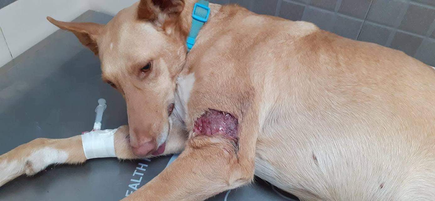 fina_1206887964984823