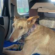 fina_1206895958317357