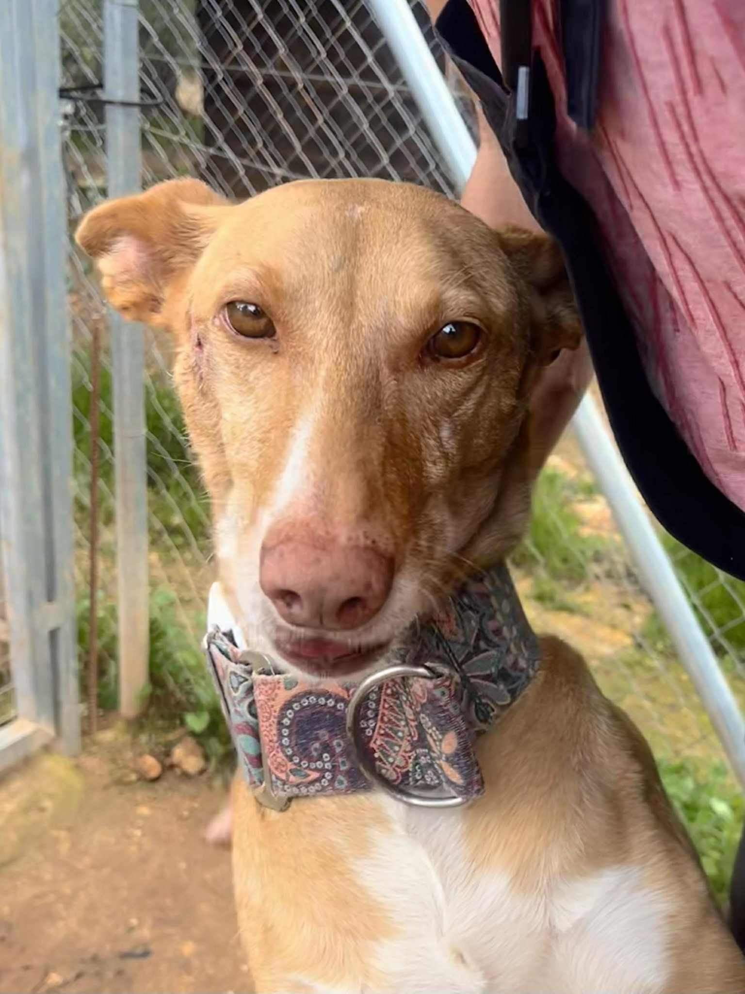 fina_1209991431341143