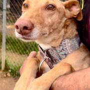 fina_1209991451341141