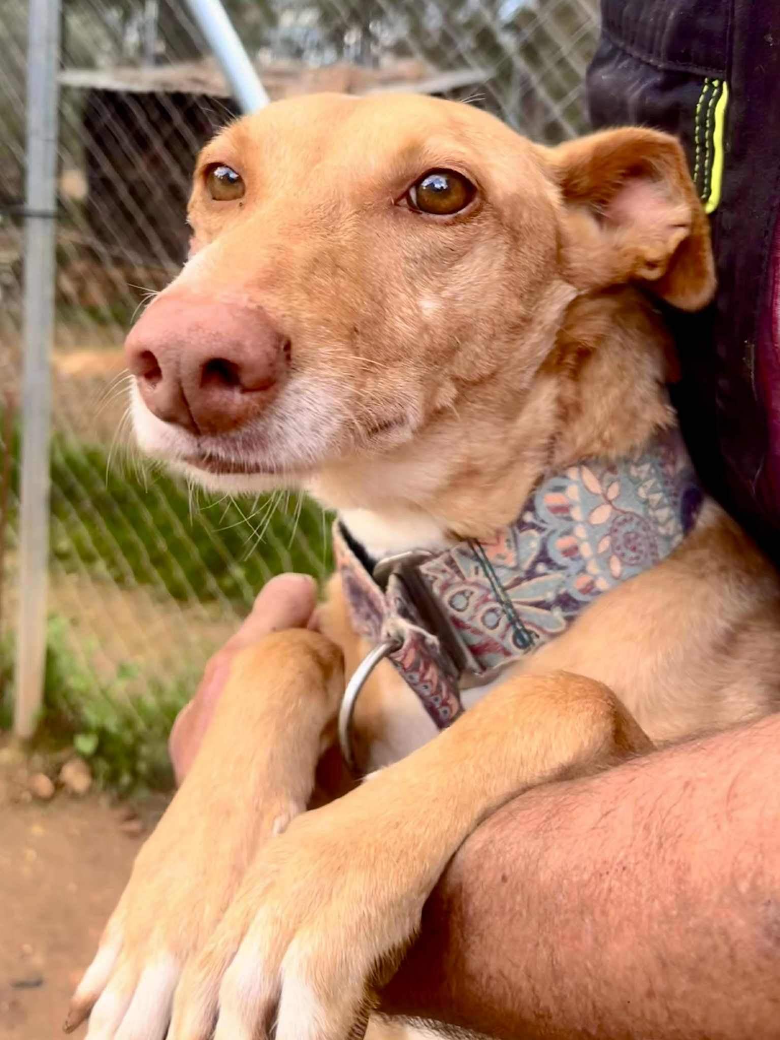 fina_1209991451341141