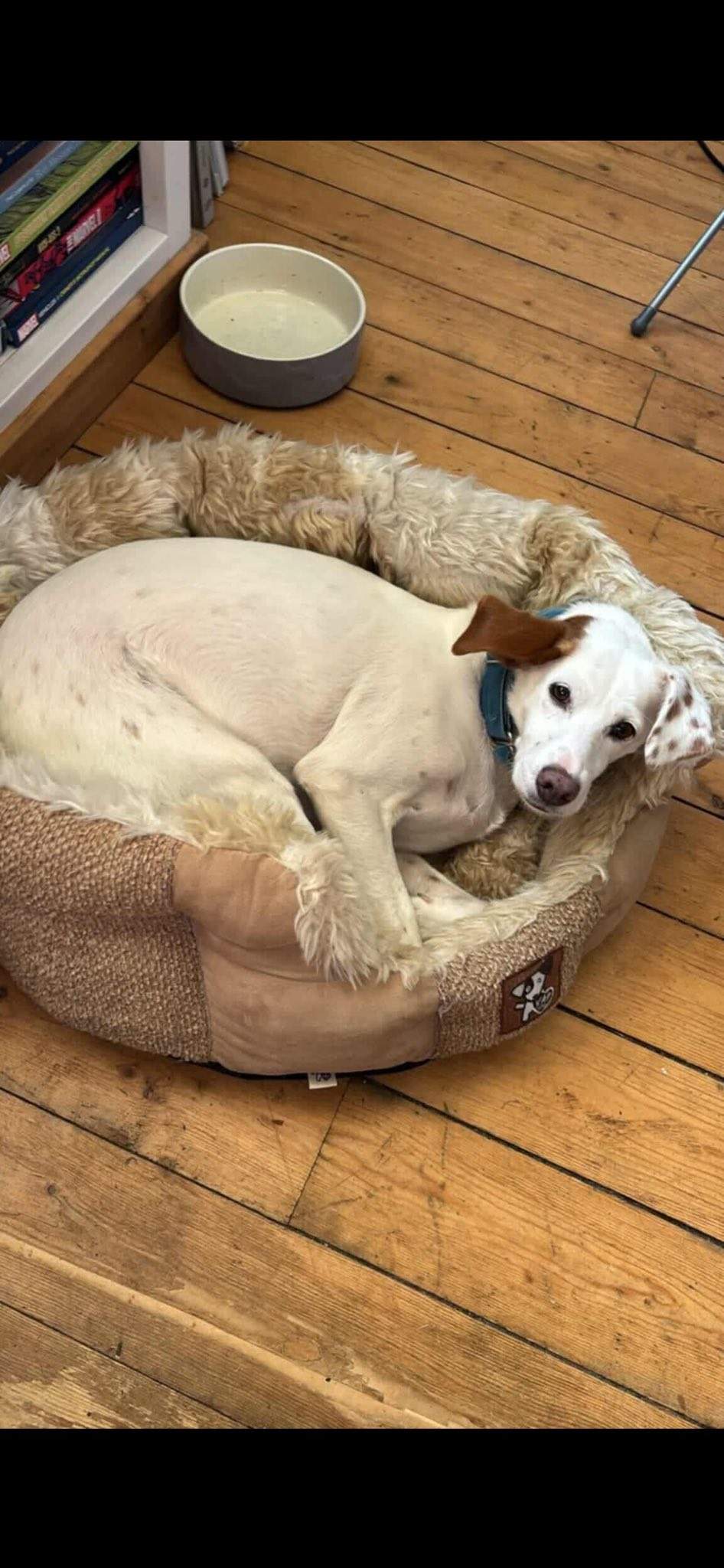 fiona_1146287137711573