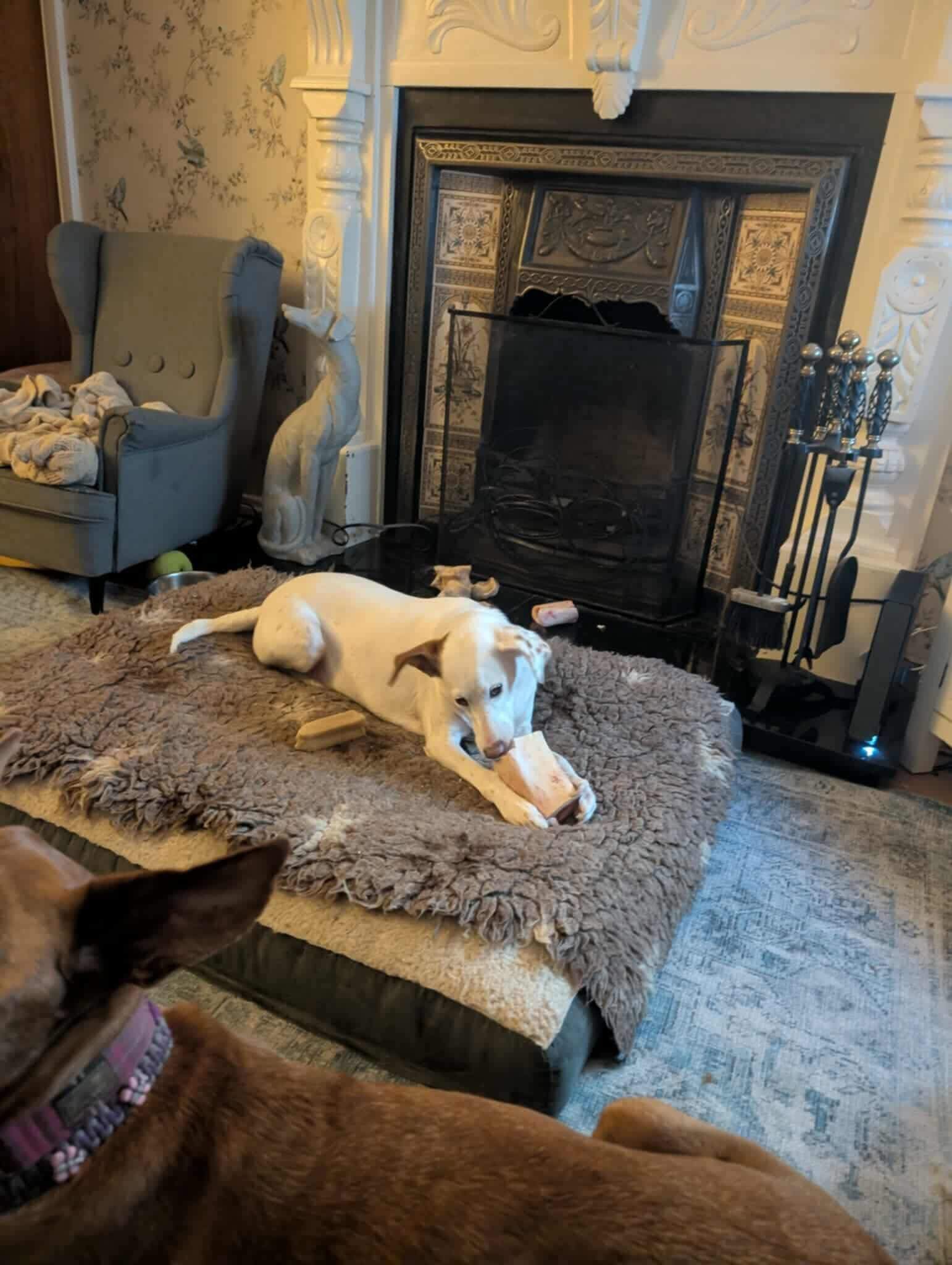 fiona_1146287151044905