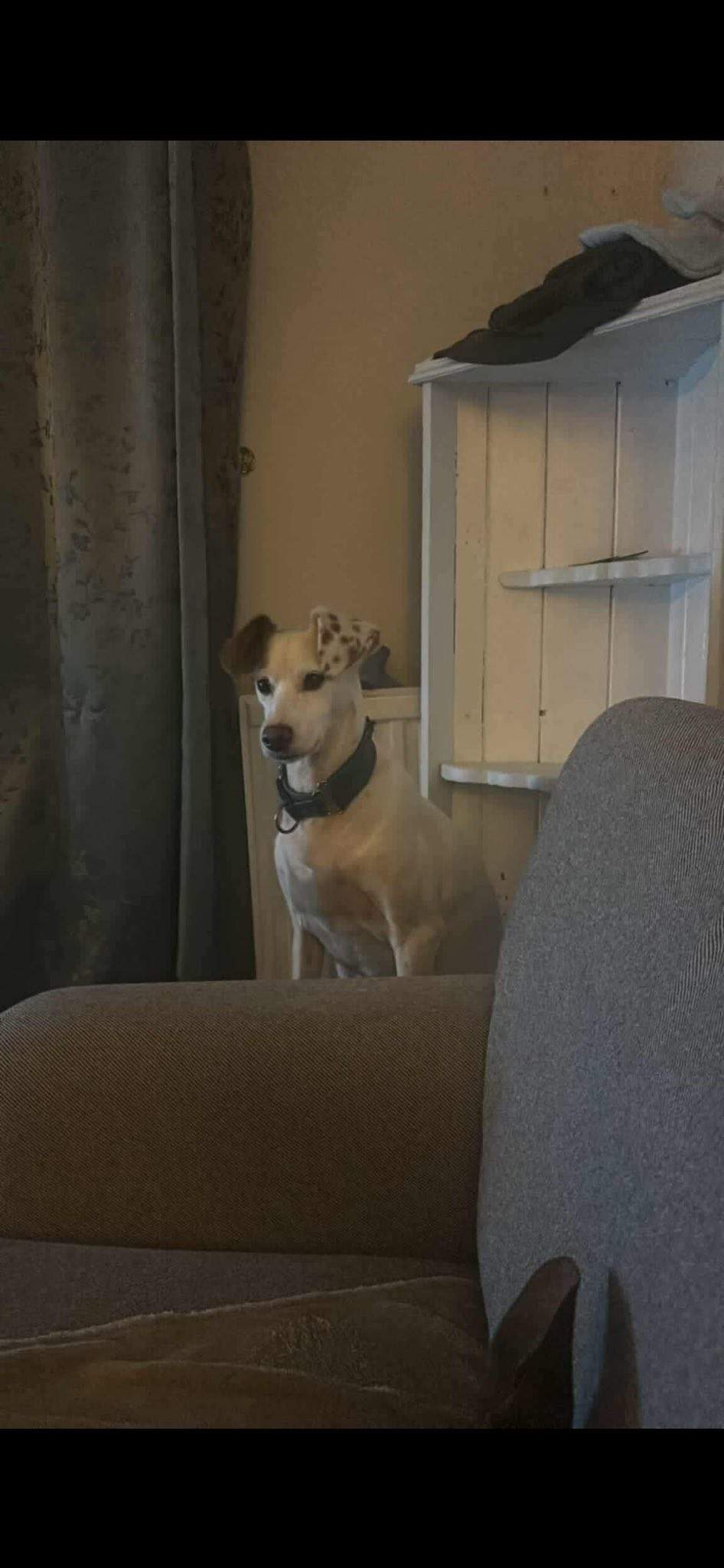 fiona_1146287204378233