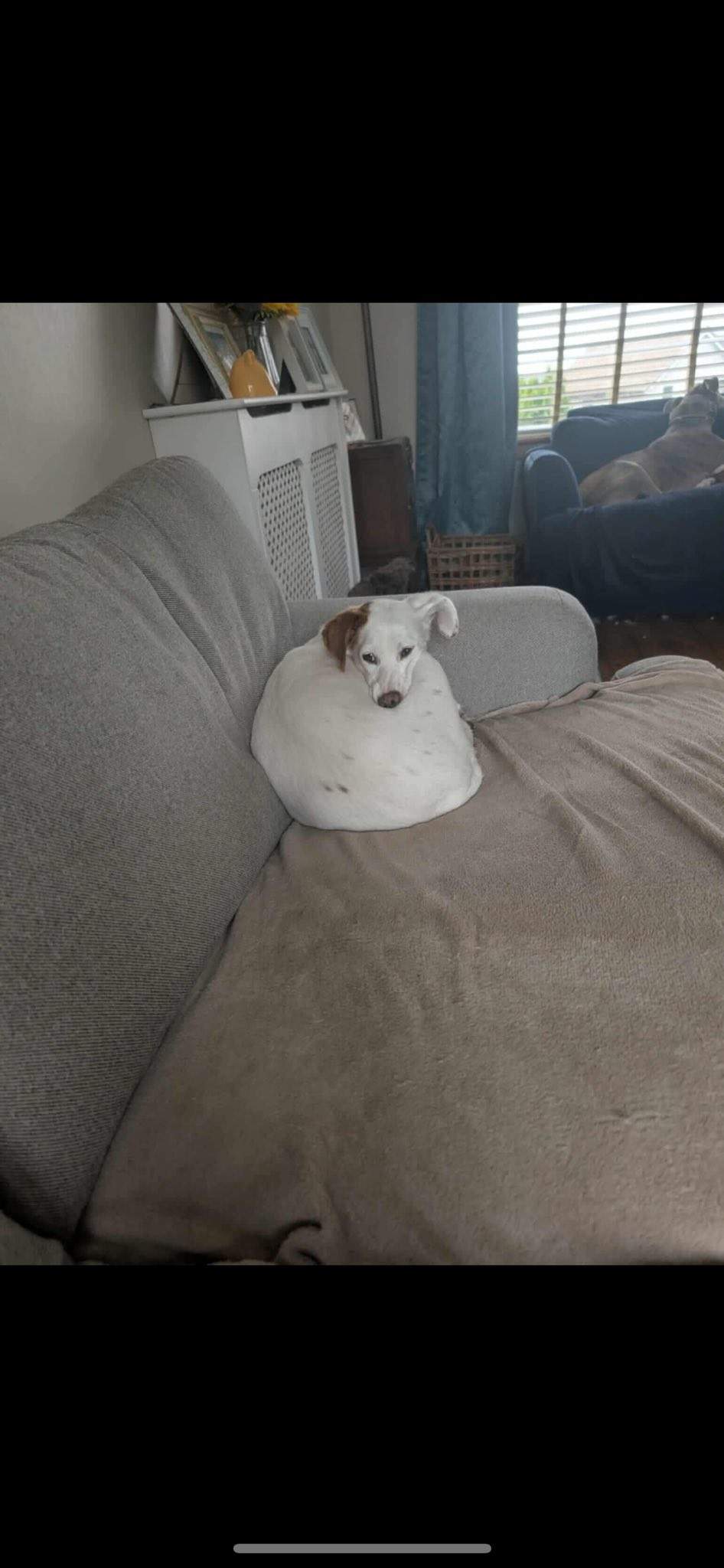 fiona_1146287267711560