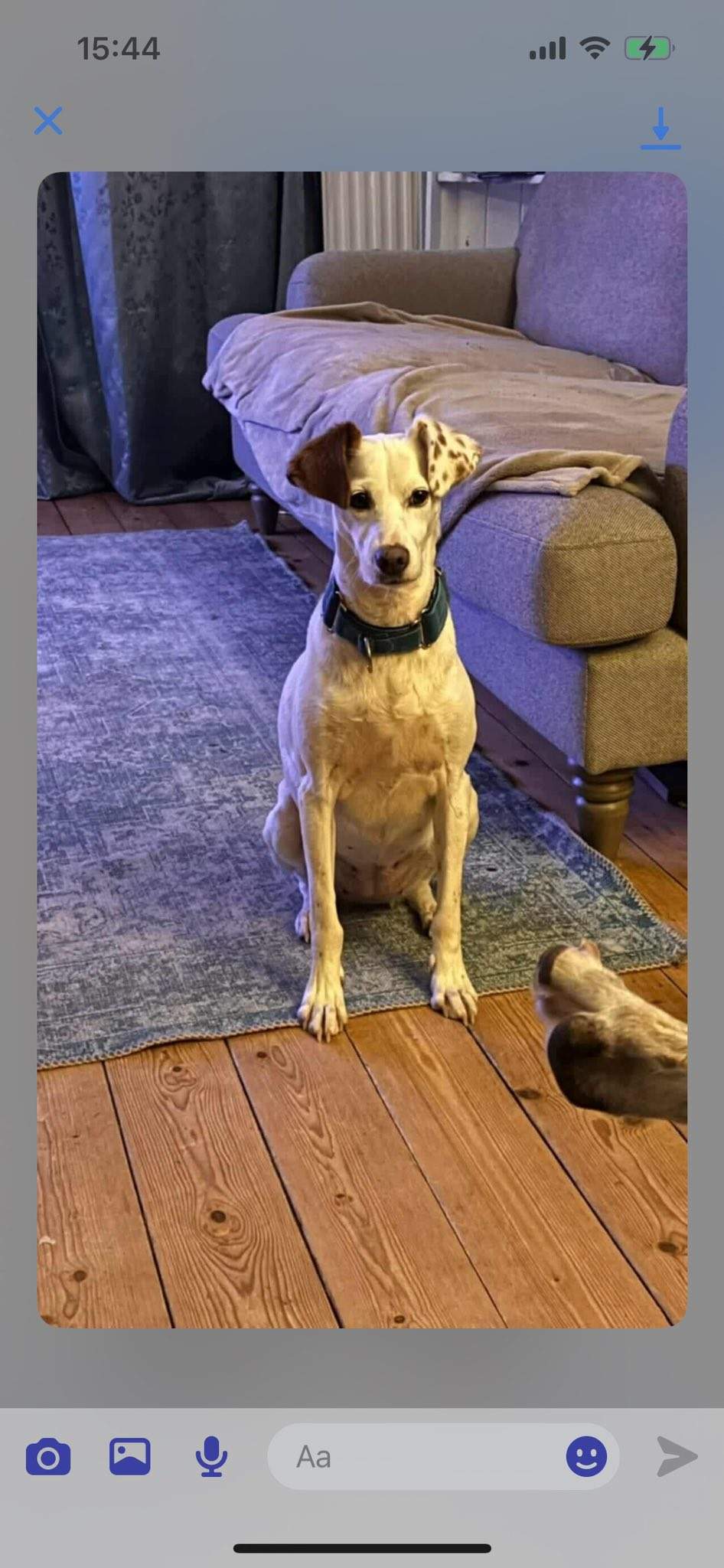 fiona_1146287327711554