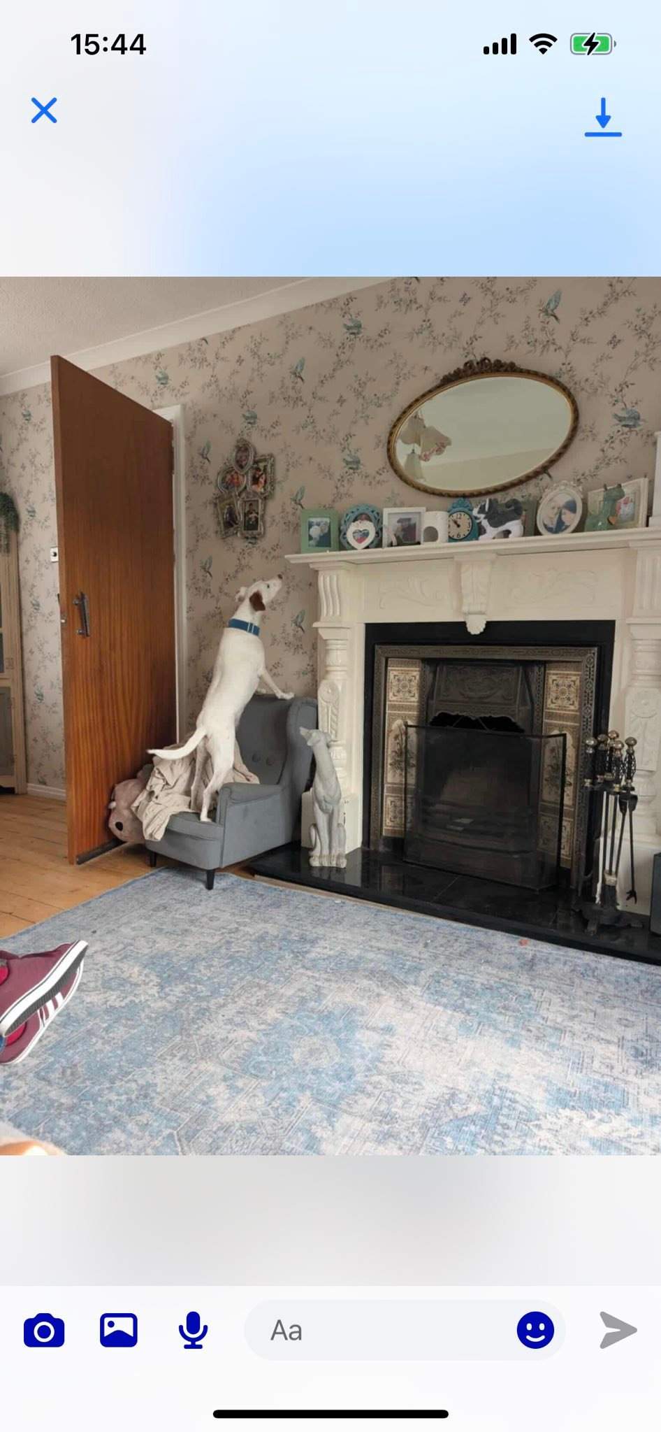 fiona_1146287391044881