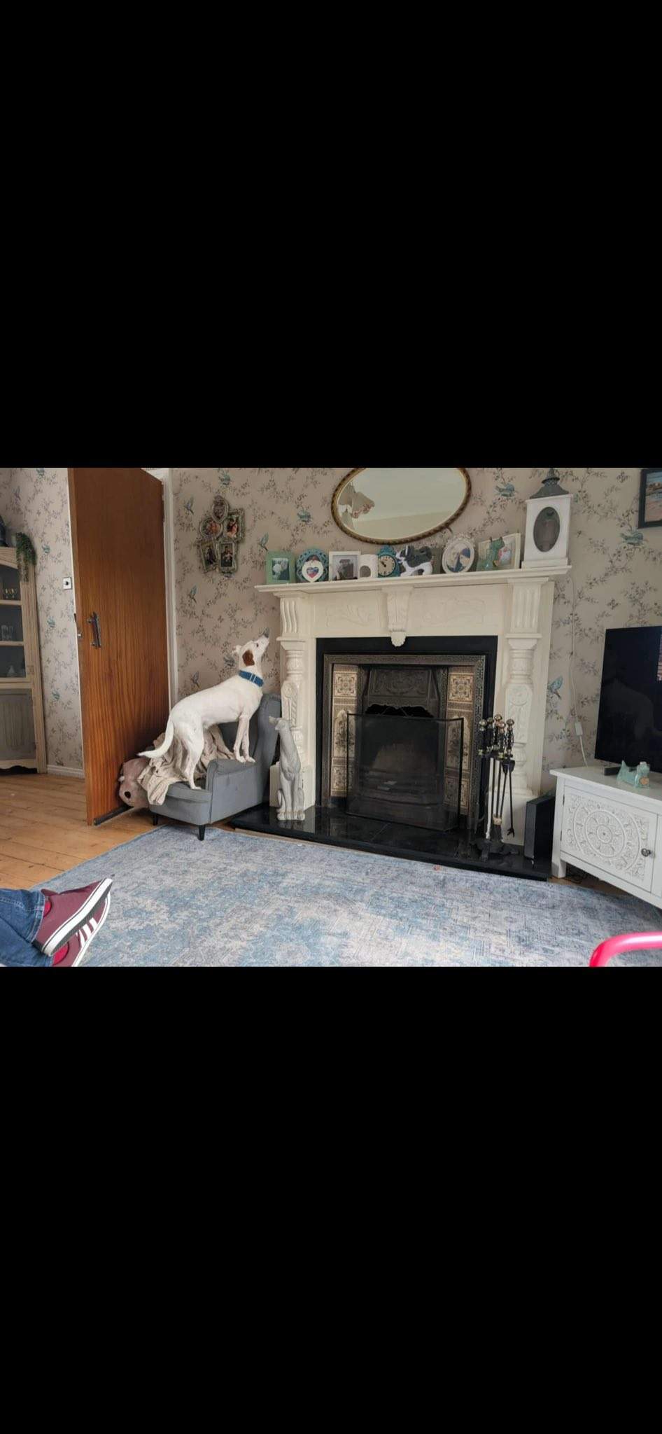 fiona_1146287397711547