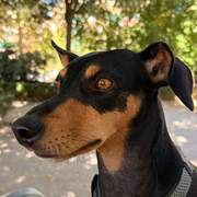 fresa_1430418825965068