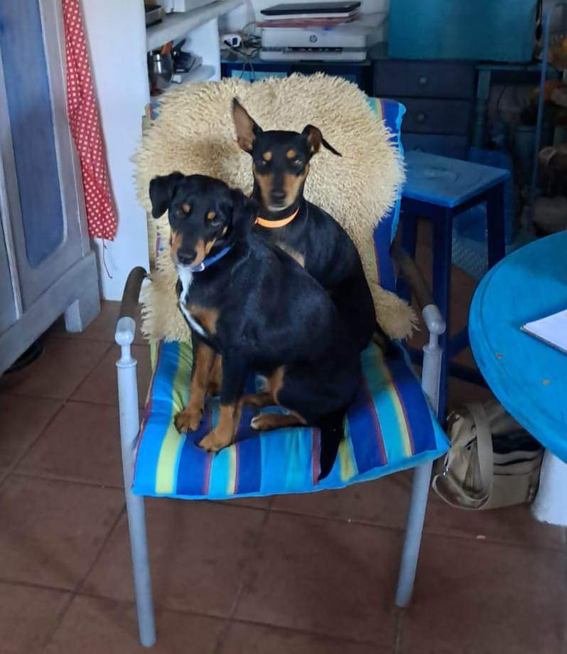 fresita_1375814371425514