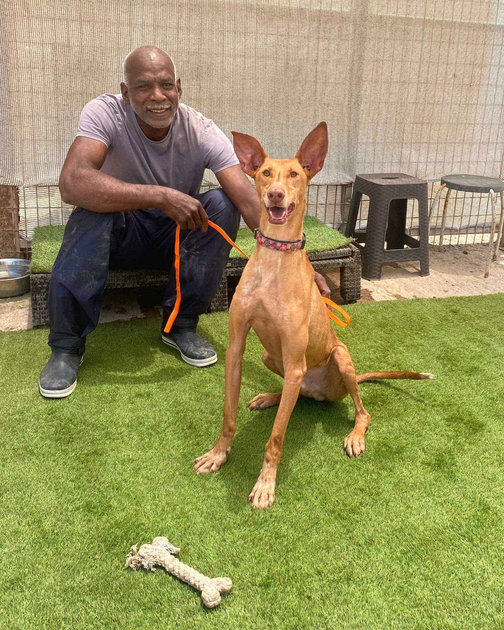 gael_1184735383866748