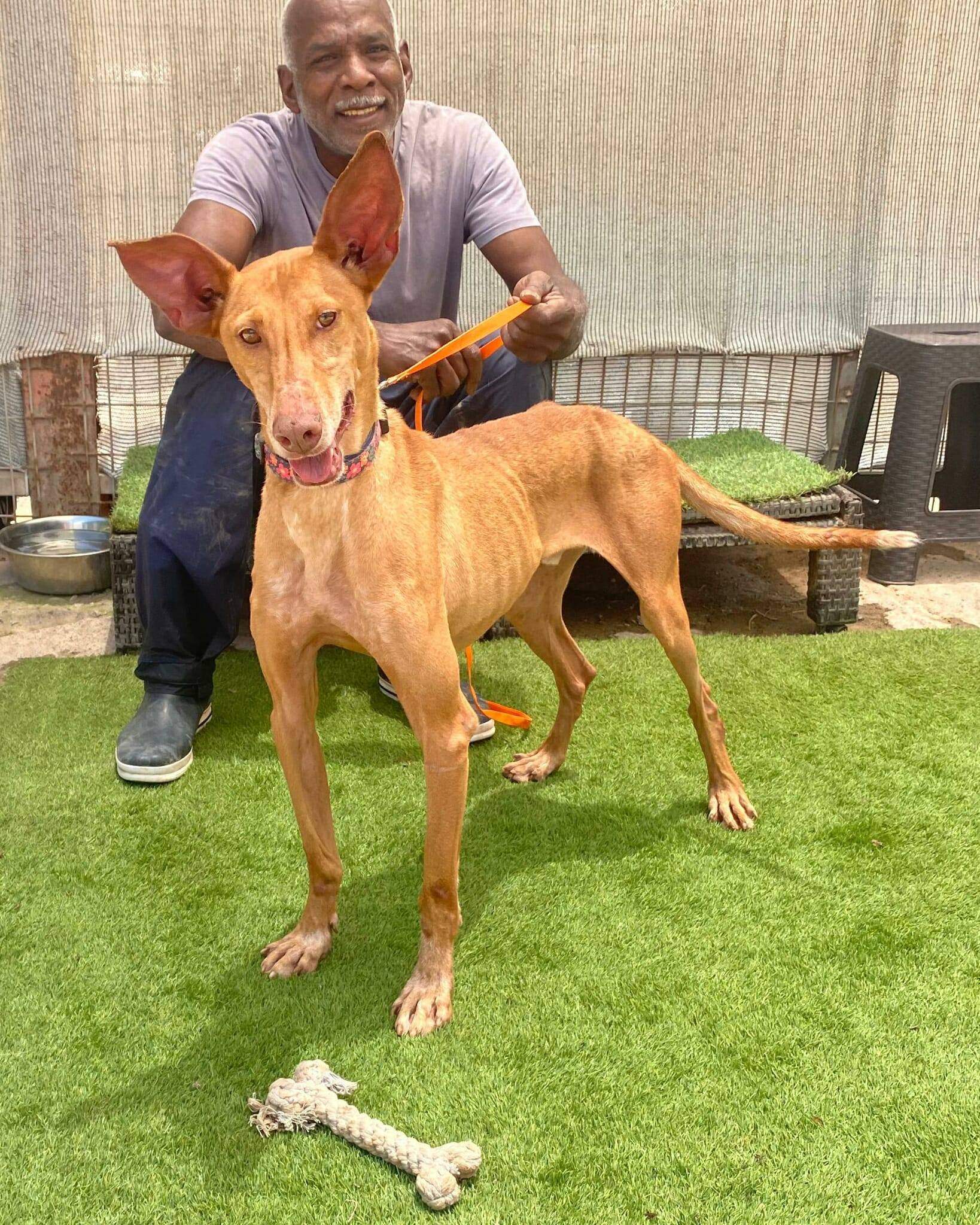 gael_1184735437200076