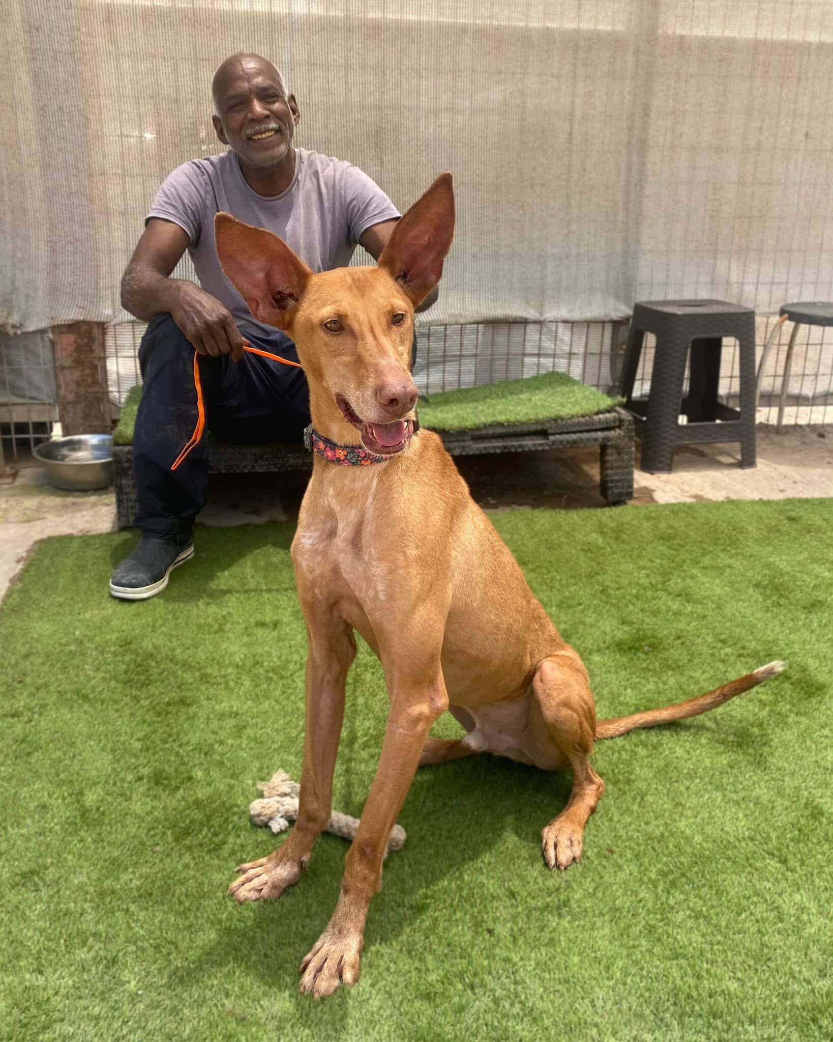 gael_1184735473866739