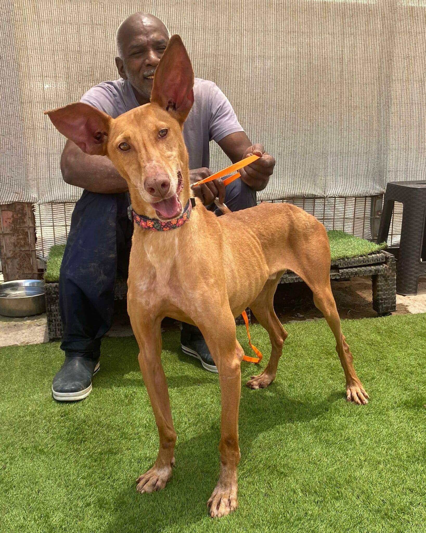 gael_1184735617200058